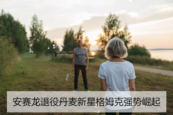 安赛龙退役丹麦新星格姆克强势崛起